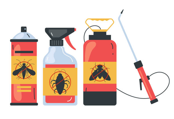 Best Flea Control Services  in Raymondville, TX